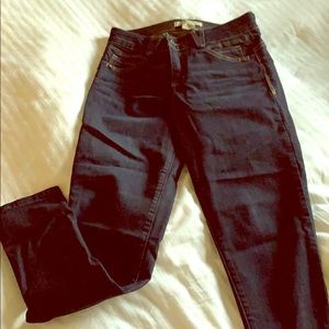 Women’s ab solution begging